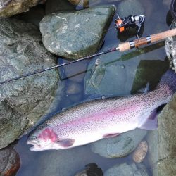 天竜川ルアーフライ専用区